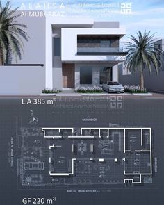 an architectural drawing of a modern house with palm trees