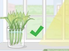 a potted plant sitting on top of a window sill next to a window