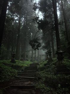 a path in the middle of a forest with moss growing on it's sides