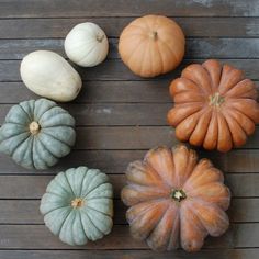 pumpkins and gourds are arranged on a wooden surface