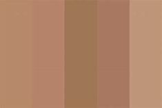 an image of a brown color palette for the background or wallpaper, with horizontal stripes