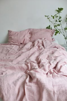 an unmade bed with pink linens and a plant in the corner next to it