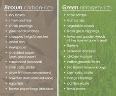 the ingredients for brown carbon - rich dog treats are shown in two separate sections, one with