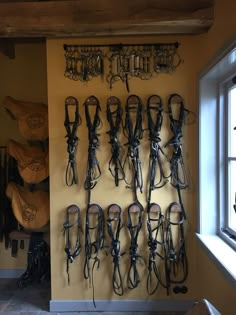 many different types of horse bridles are hanging on the wall next to a window