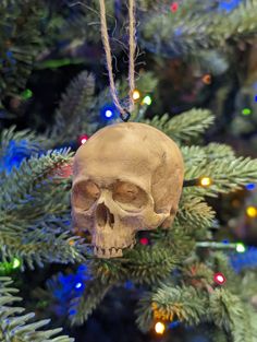 a human skull ornament hanging from a christmas tree