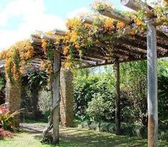 an outdoor area with many plants and flowers on the pergolated roof, surrounded by greenery