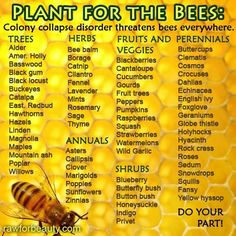 a bee on a honeycomb with the words plant for the bees written below it