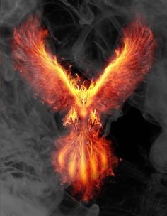 a fire bird flying through the air with its wings spread out in front of it