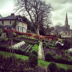 a garden with lots of plants and trees