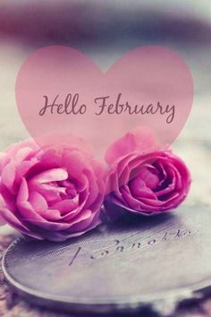 two pink roses sitting on top of a table next to a heart with the words hello february