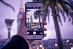 someone holding up their cell phone to take a photo in front of some palm trees