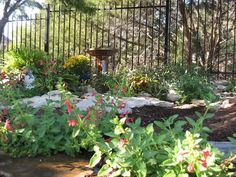 the garden is full of flowers and rocks