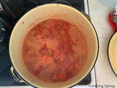 a pot full of food sitting on top of a stove next to a pan filled with sauce