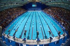 an olympic swimming pool with swimmers in it