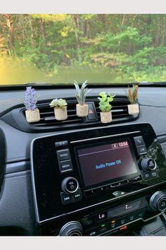 the dashboard of a car with plants on it