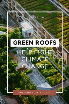 Climate Adaptation Urban Design, Green Roof Benefits, Green Cities, Green Roof Garden, Green Roof System, Eco House Design, Climate Adaptation, Urban Heat Island, English Architecture