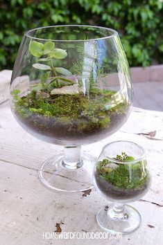 a glass filled with water and plants on top of a table