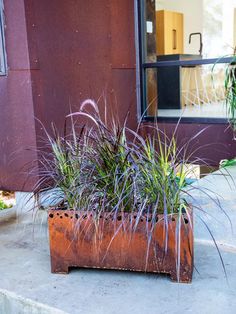 two metal planters with plants in them on the sidewalk