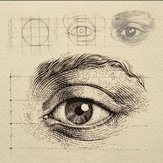 an eye is shown in three different ways, including the iris's eye and the third