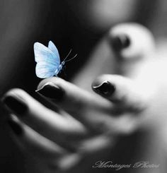 a blue butterfly sitting on top of a woman's hand in black and white