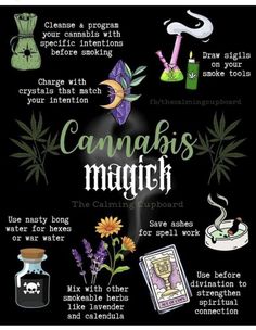 Witch Herb Essentials, Herbal Magic Witchcraft, Green Witch Spells, Tattoo Flower Drawing, Nature Spells, Aesthetic Plant Wallpaper, Herbal Witchcraft, Herbs For Witchcraft, Herbalism For Beginners