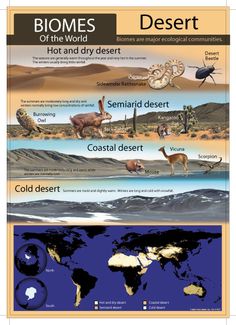 the different types of desert animals are shown in this poster, which shows them's location