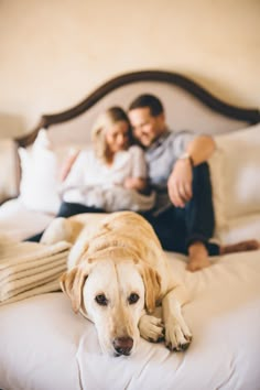 a man and woman sitting on top of a bed next to a large brown dog