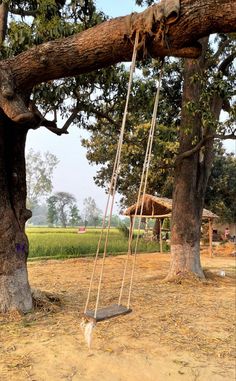 a swing that is hanging from a tree