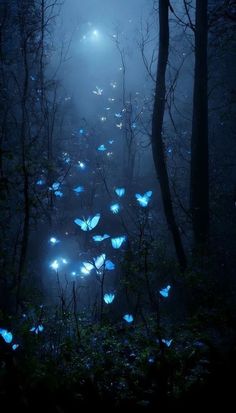 many blue butterflies are flying in the dark forest