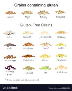 grains containing gluten - free grains in different colors and sizes on a white background