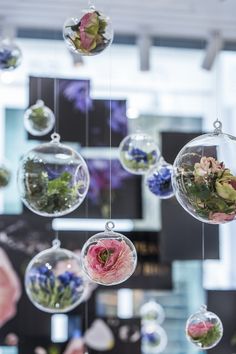 some glass balls with flowers in them hanging from the ceiling