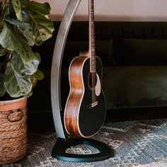 an acoustic guitar sitting on top of a stand next to a potted plant