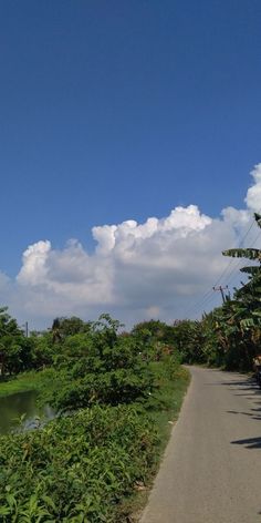 the road is lined with trees and bushes on both sides, as well as clouds in the sky