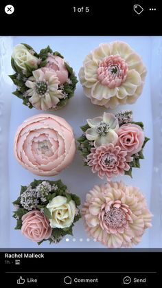 some pink and white flowers are on a plate