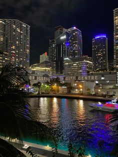 the city skyline is lit up at night with lights reflecting in the water and palm trees