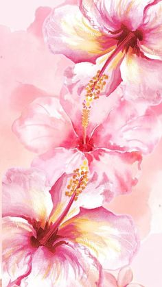 two pink flowers with yellow stamens on a pink and white watercolor background