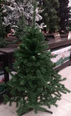 a small christmas tree sitting on top of a wooden table in front of a store