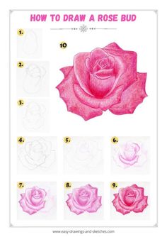 how to draw a rose bud step by step instructions for beginners and advanced artists