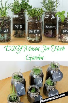 mason jar herb garden with herbs in it and labeled on the jars, sitting on a table