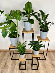 four plant stands with plants in them on the floor