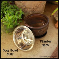 a dog bowl is sitting next to a potted plant