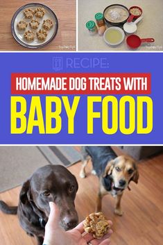 homemade dog treats with baby food are the perfect way to keep your dogs happy and healthy