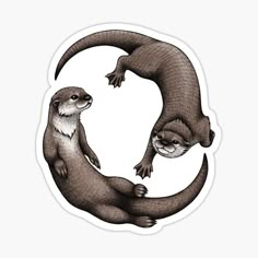 an otter sticker with the letter c on it's back and two otters in