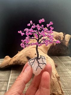 a hand holding a rock with a tree on it and pink flowers growing out of it