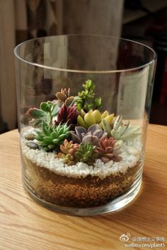 a glass vase filled with lots of succulents on top of a wooden table