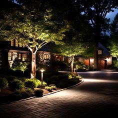 a driveway lit up at night with trees and bushes around it in front of a house