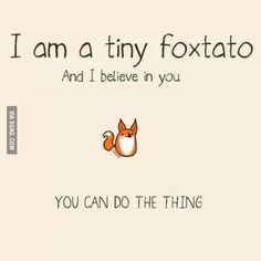 i am a tiny foxato and i believe in you you can do the thing