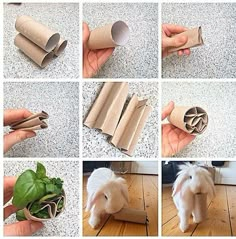 there are many pictures of different things made out of toilet paper and rolled up rolls