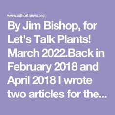 By Jim Bishop, for Let's Talk Plants! March 2022.Back in February 2018 and April 2018 I wrote two articles for the newsletter about making mosaic pavements and walkways in our garden. Since then I've continued making more mosaics and here's an update.We enjoyed hosting the 86 members of the San Diego Horticultural Society in our garden on January 2. After so many months, it was great to see gardening friends in person. And equally exciting to show them all the projects I worked on during the Gray Rock, Australian Plants, Below The Surface, Landscape Fabric, Fence Post, Chicken Wire, Cactus Garden, Let's Talk, Walkway