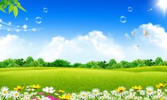 a field full of flowers and bubbles floating in the air over it's green grass